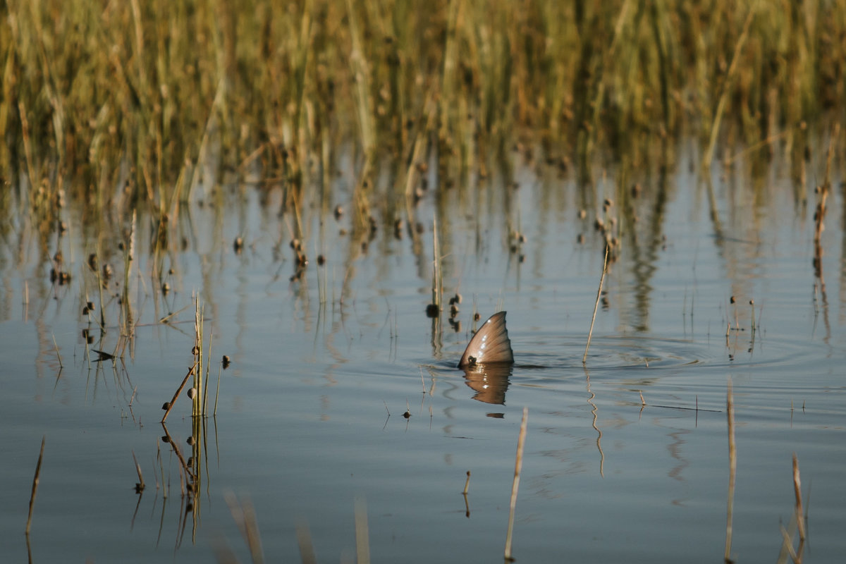 Flyfishing-lifestyle-photography436