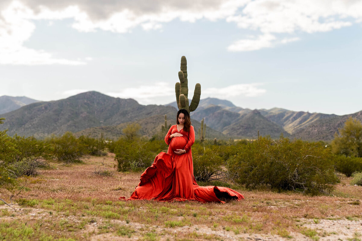 Arizona mother-to-be standing in the desert cradling baby bump with long rust red dress floating around her