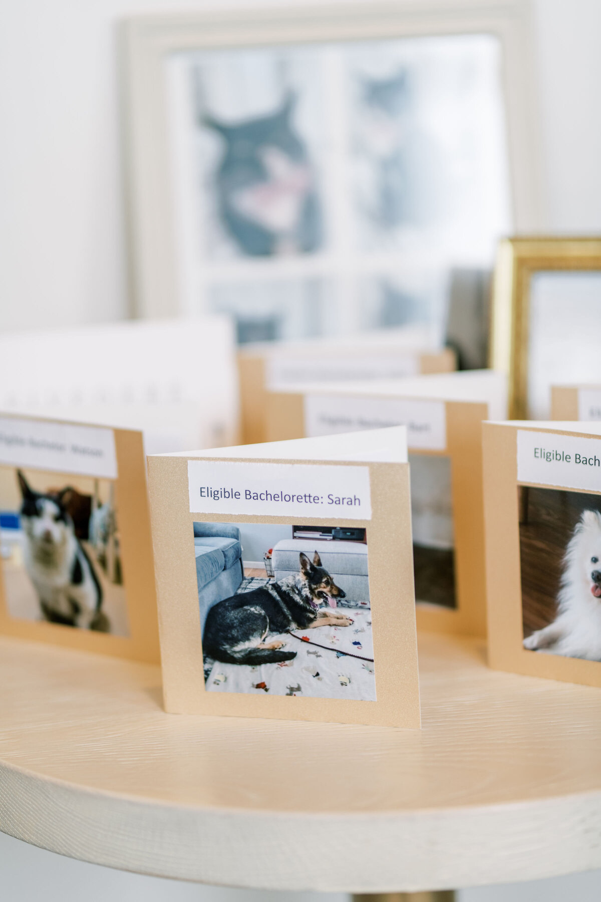 Cute cat photos at wdding tablescape at the pearle hotel