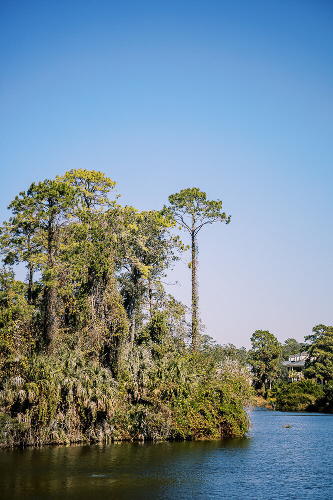 PALMETTO BLUFF WEDDING PHOTOS (35 of 733)