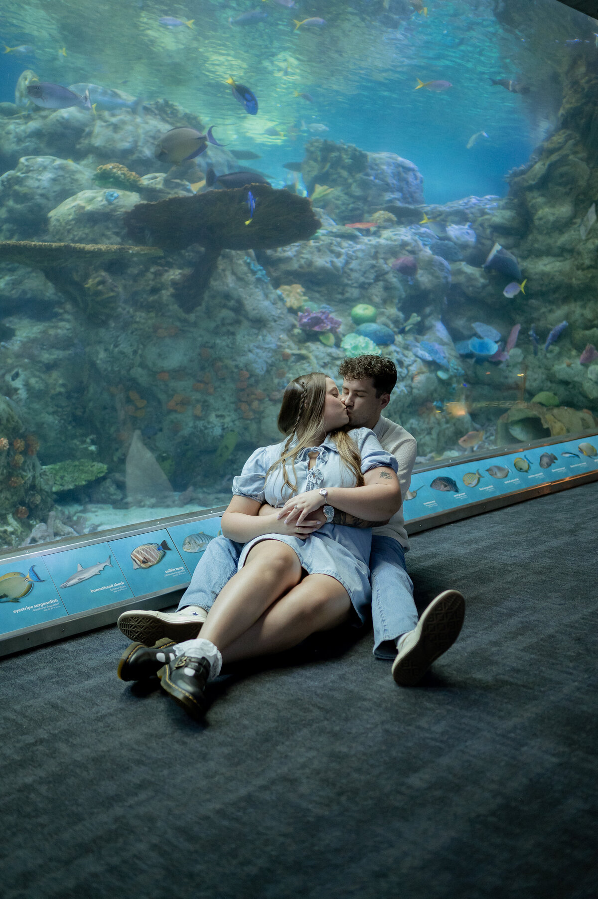 abstillsphotography_orangecountyphotographer-57