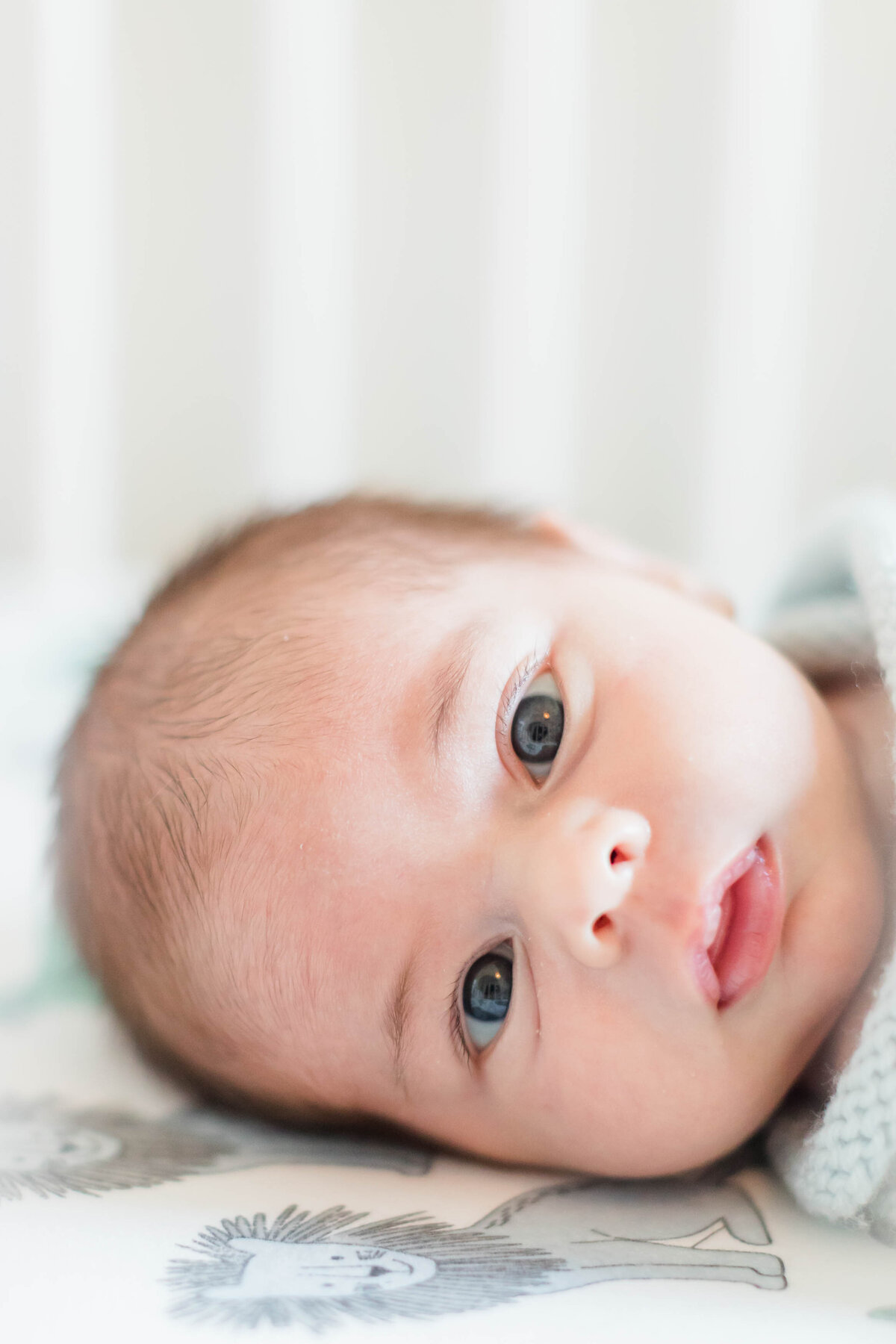 Richmond Newborn Photographer | Ashley Edmunds39