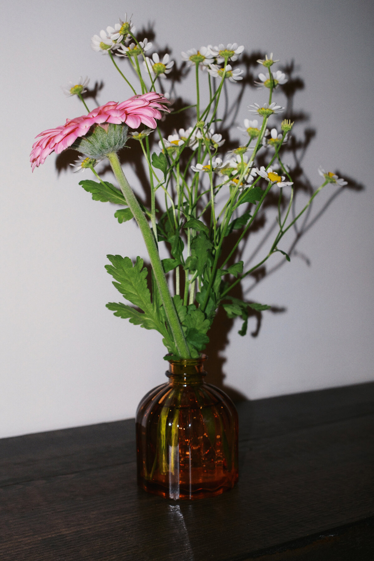 neep-spring-2025-0032