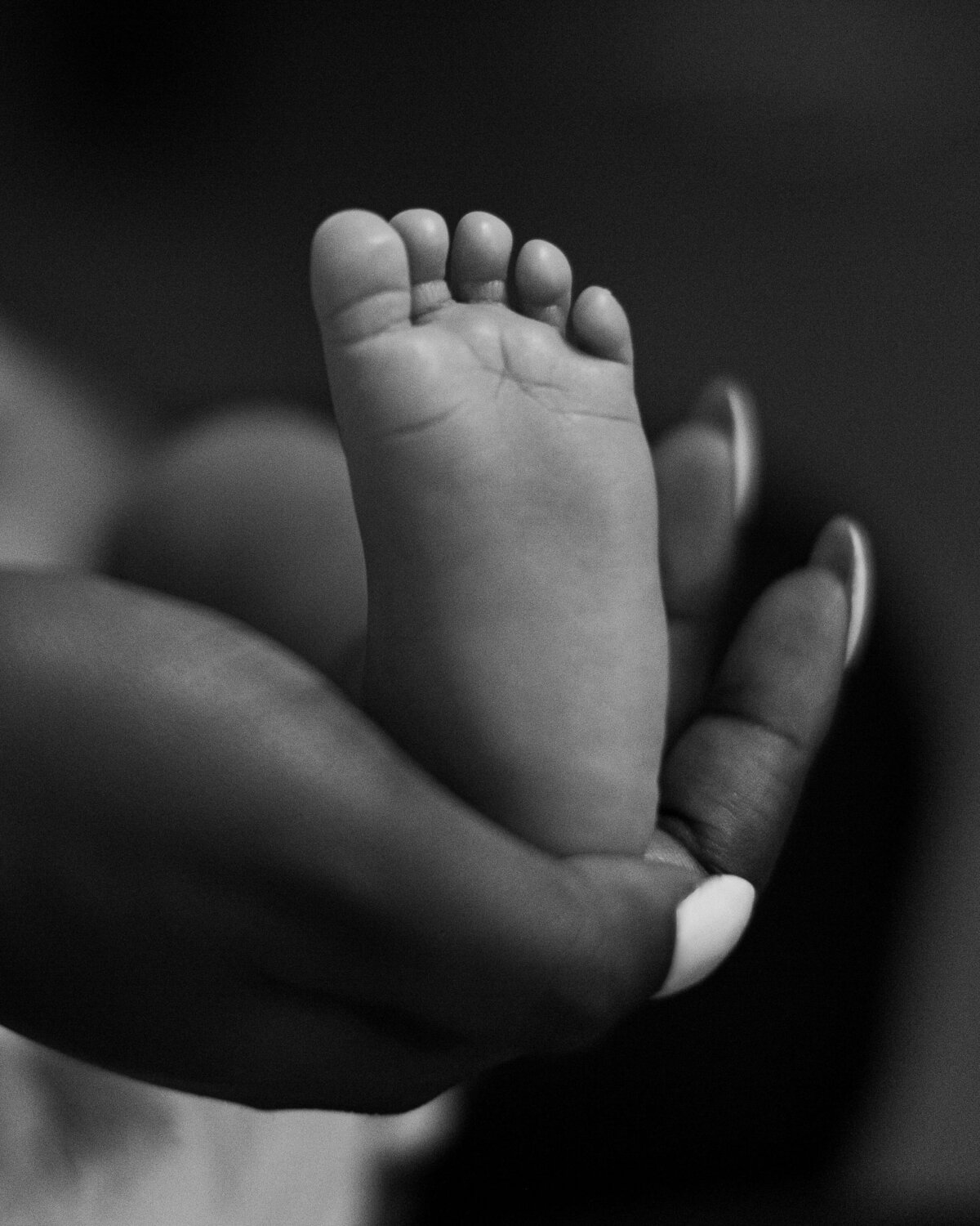 baby foot captured by Daisy Rey Photography