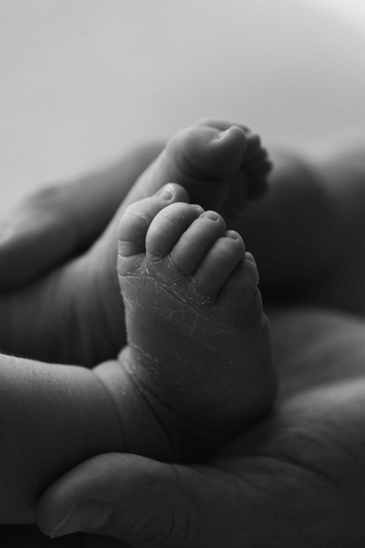 Sarah Vassallo Sutherland Shire Newborn Photographer-264