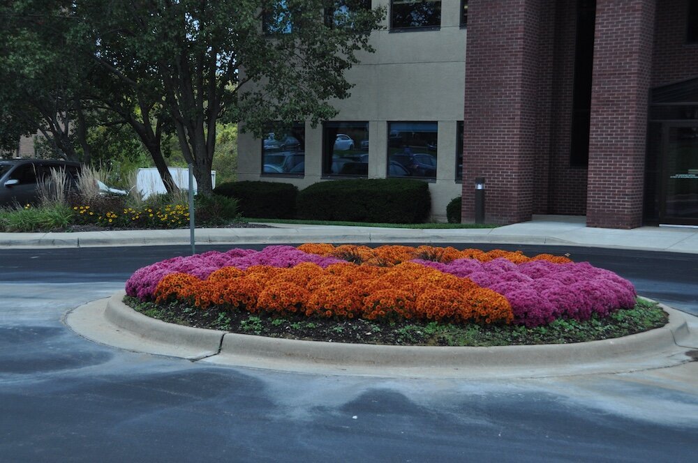 Commercial landscape company project in Kansas City: seasonal flowers showcase