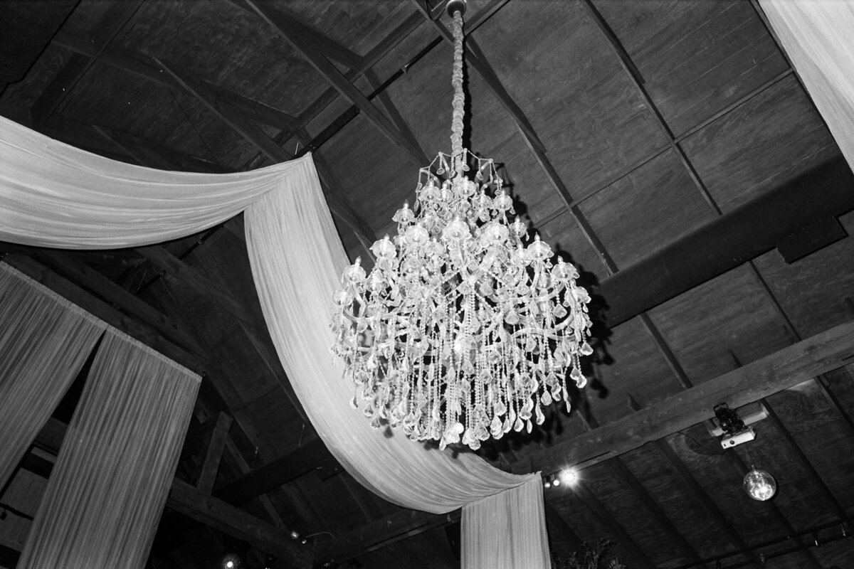 mint-springs-farm-winter-wedding-film-47