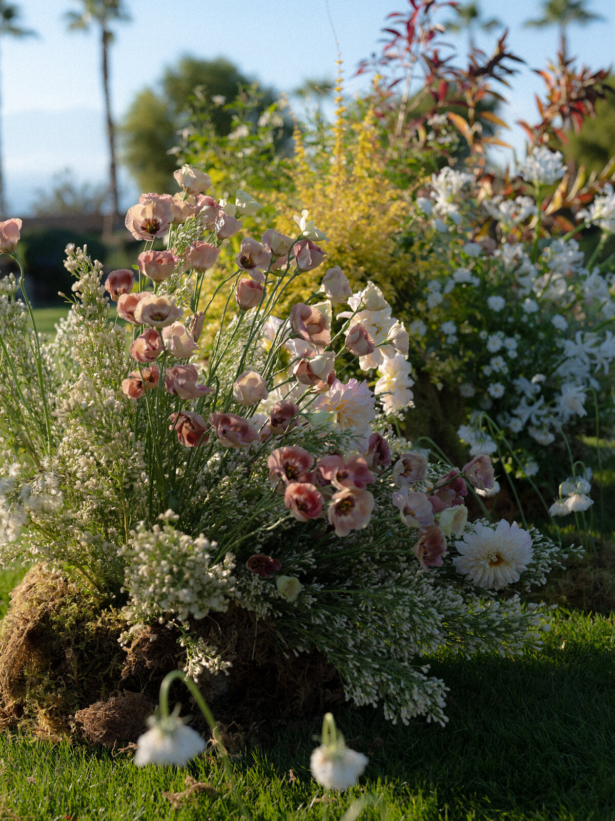 Potted floral arrangements in outdoor space