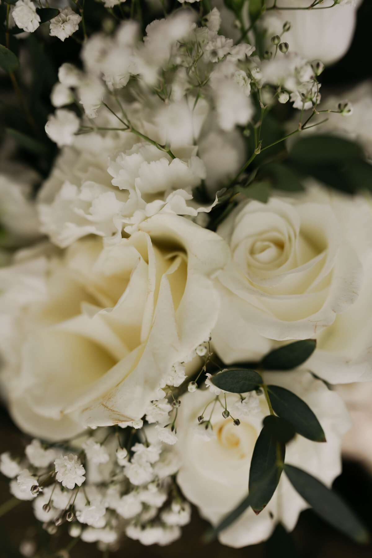 MariahRosePhotoSycamoreHillJohnsons23