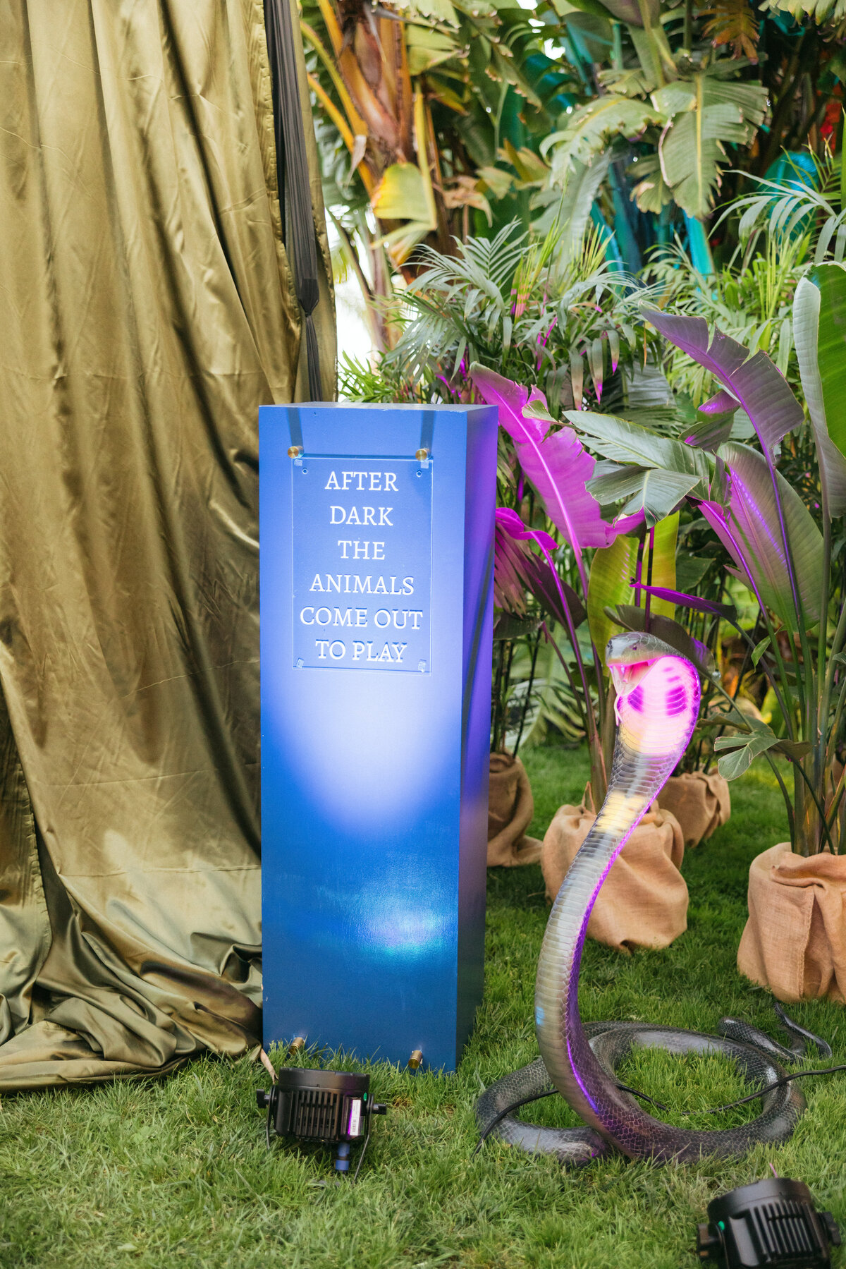 Tyler Speier Events - Zoofari2024-236