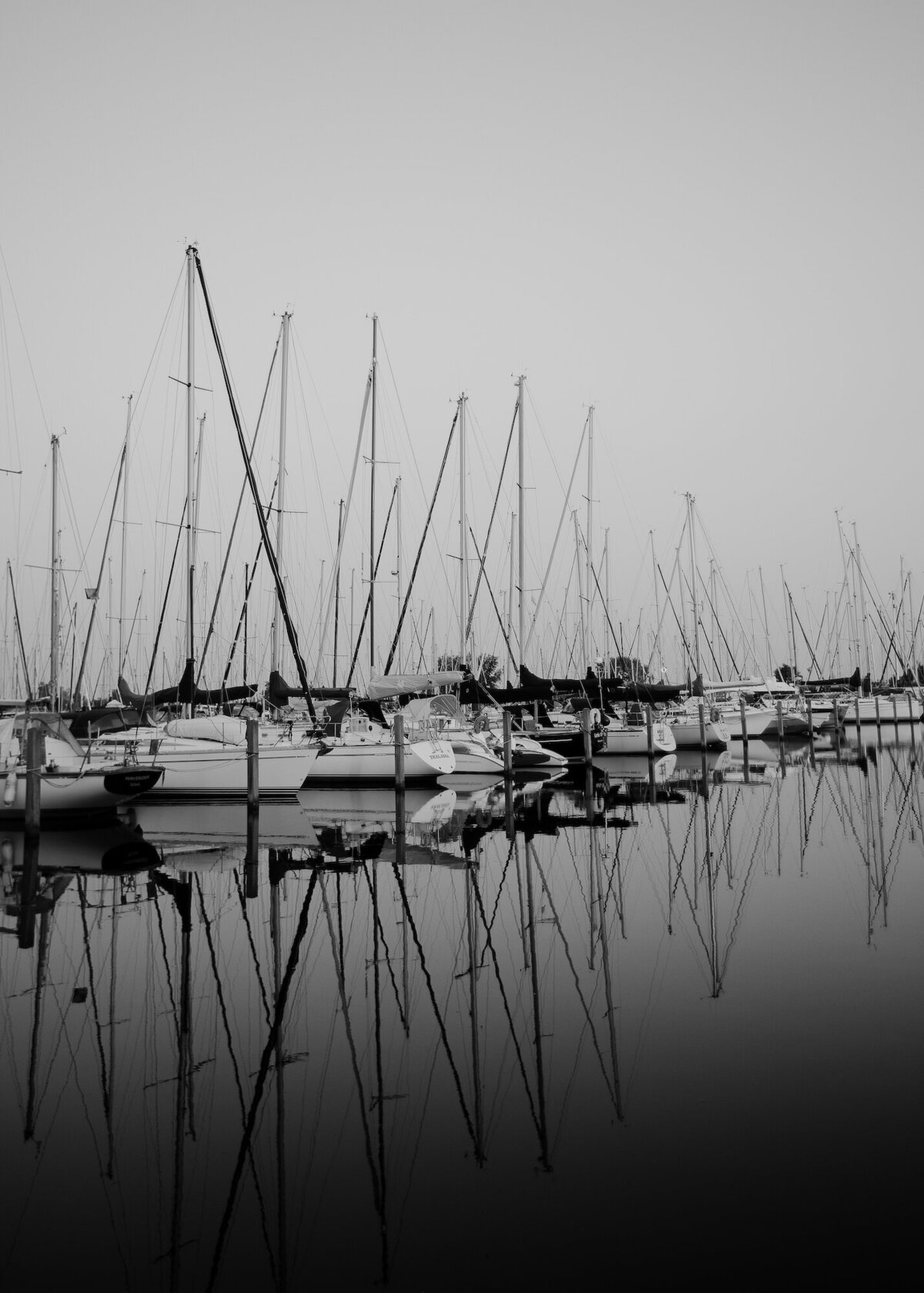 Blisshunter_Almere9