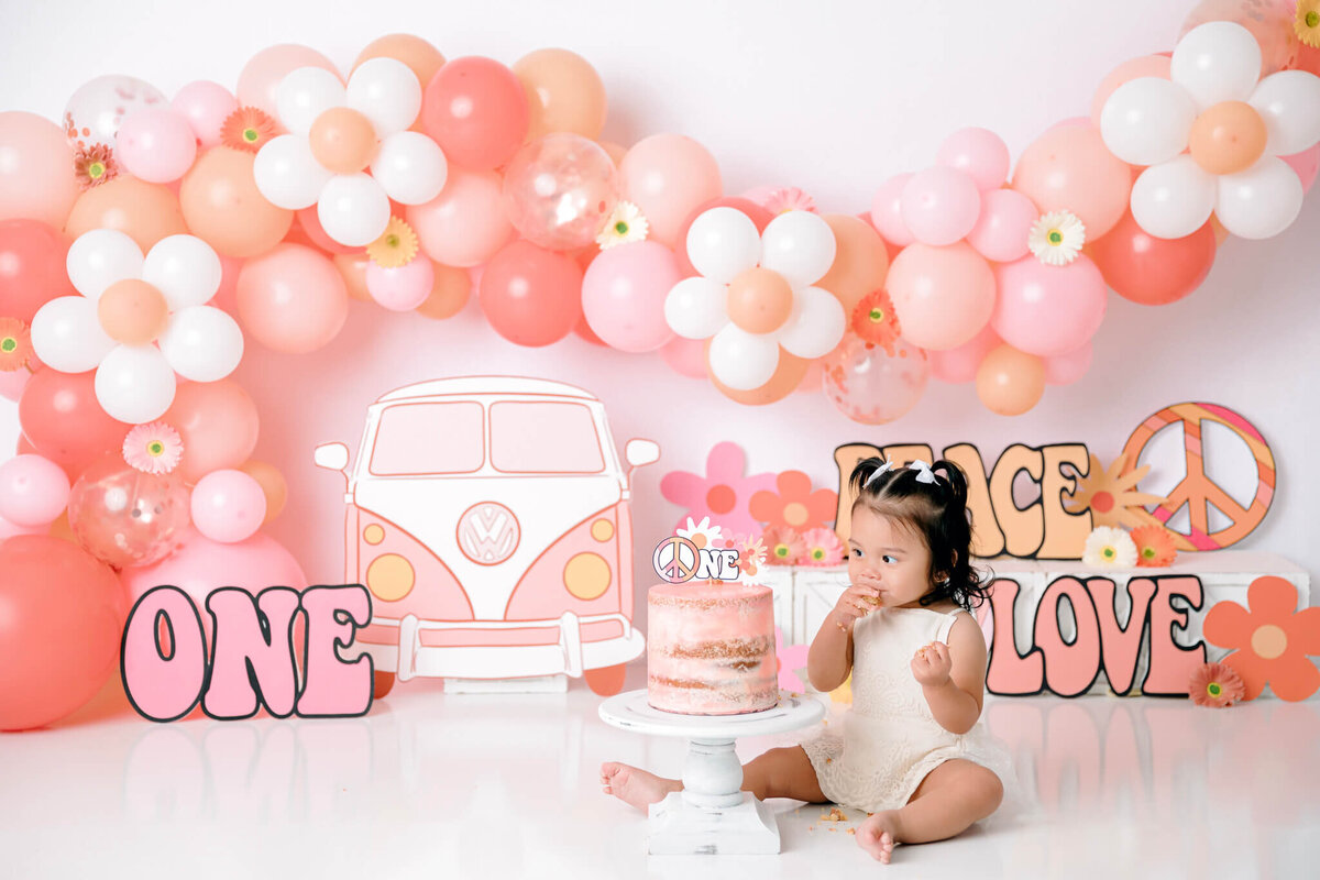 new-jersey-smash-cake-photographer-75