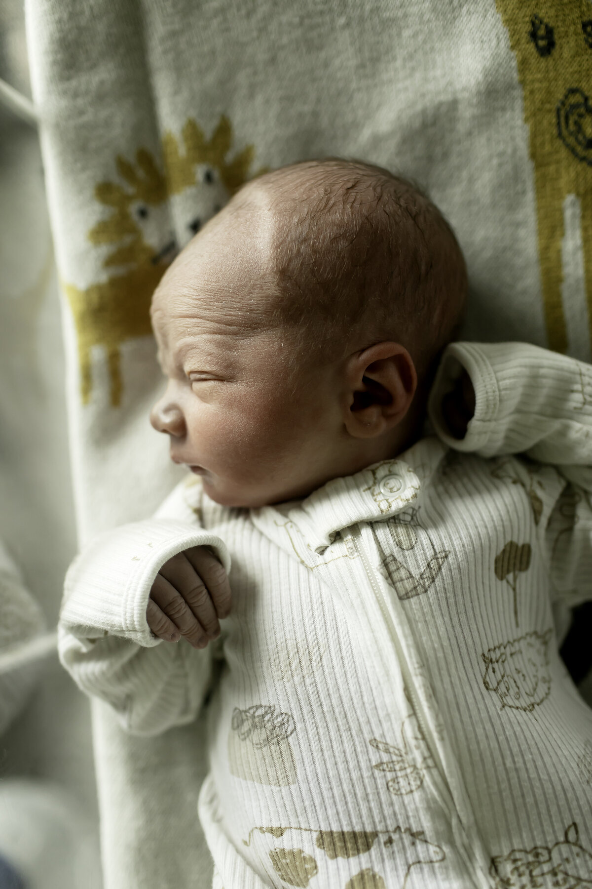 dfw-newborn-birth-photographer-chunky-monkey-5