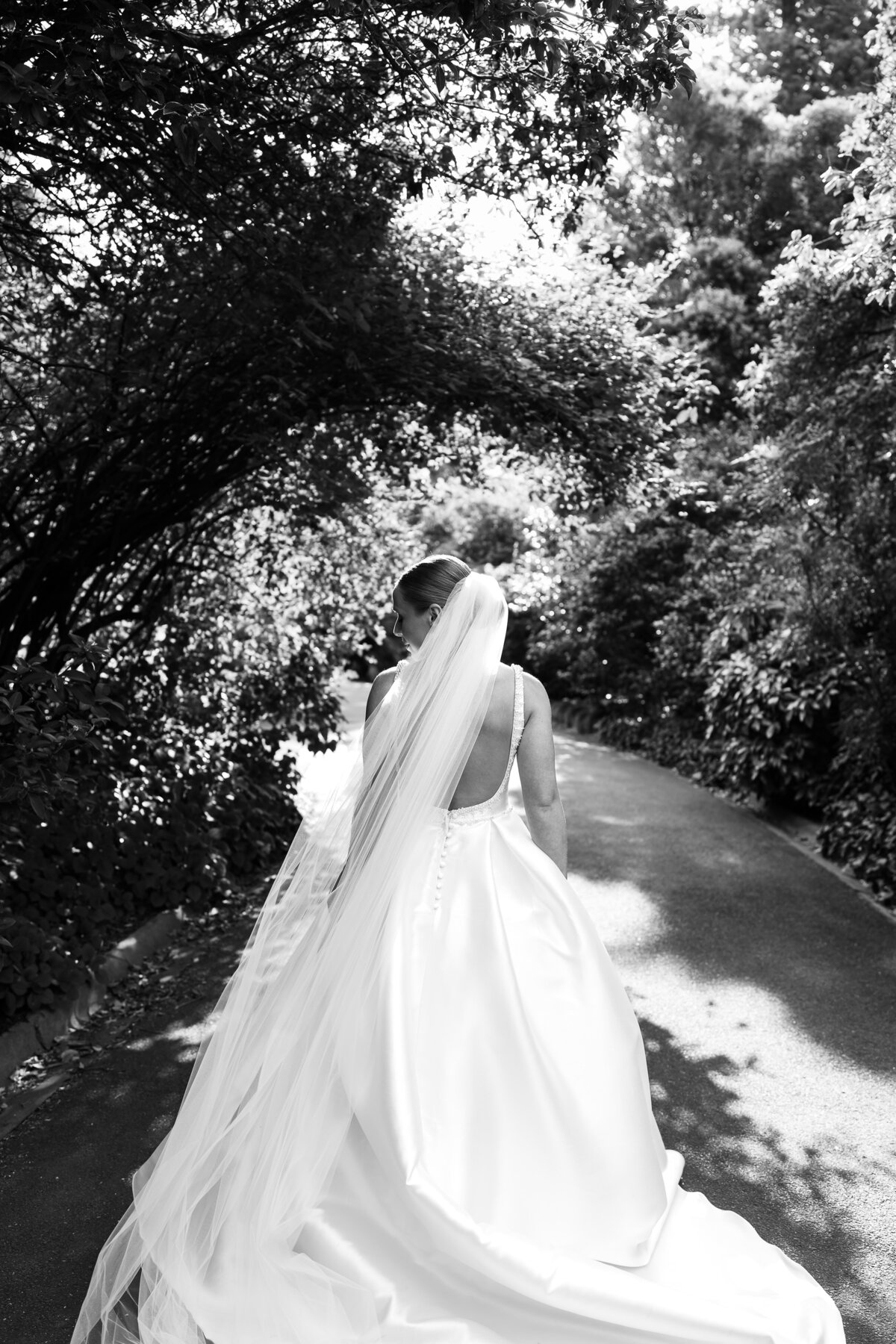 Courtney Laura Photography, Royal Botanical Gardens, The Terrace, Yarra Valley Wedding Photographer, Zoe and Sergio-288