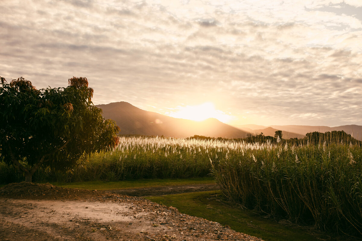 portdouglasweddingphoto-108