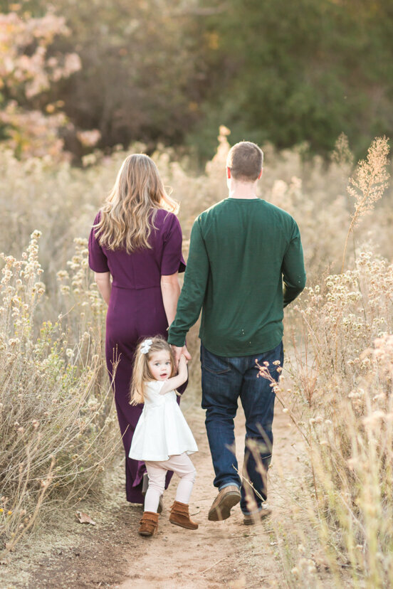 family-walking-on-path--sweetwater-river-bridge-san-diego