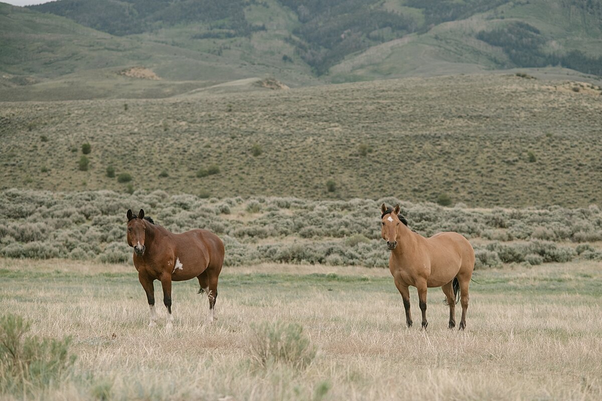Colorado_Wedding_Photographer_0370