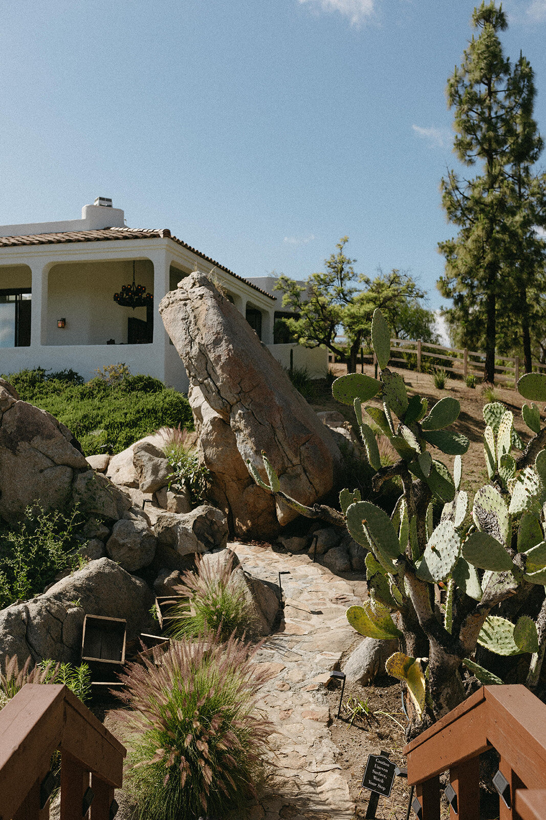 Aaren-Cadieux-Photo-TemeculaBackyardWedding-381