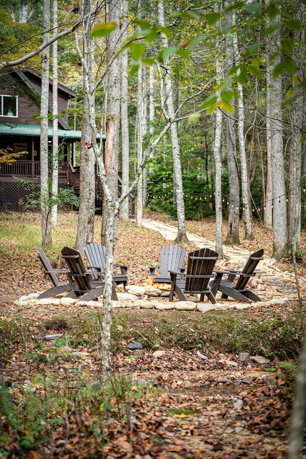 40Shady-Grove-Cabin-Blue-Ridge-GA_7037_Creek 6