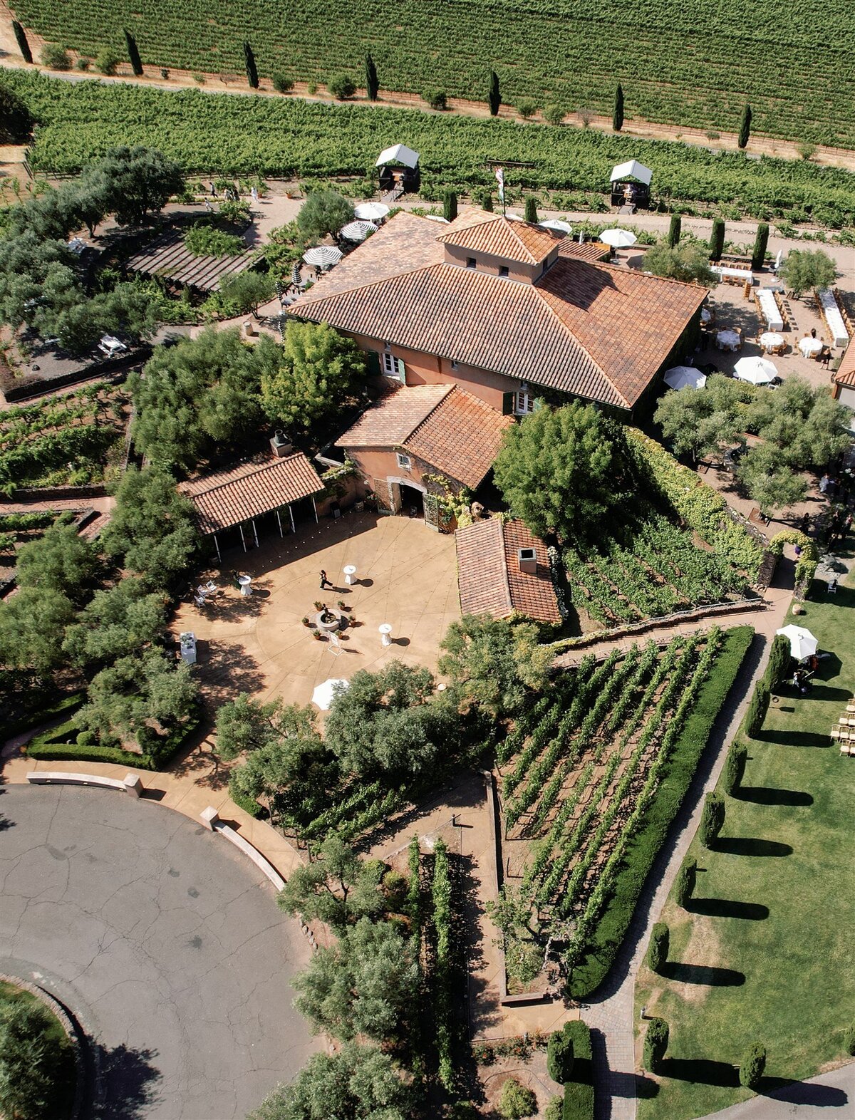 viansa-wedding-sonoma-emma-taylor-ashley-carlascio-photography-0711