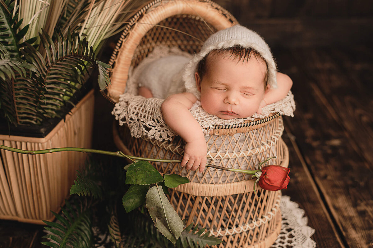 Sleeping newborn baby girl holding a rose at her studio session by Tamara Danielle Photography, Greater Toronto newborn photographer.