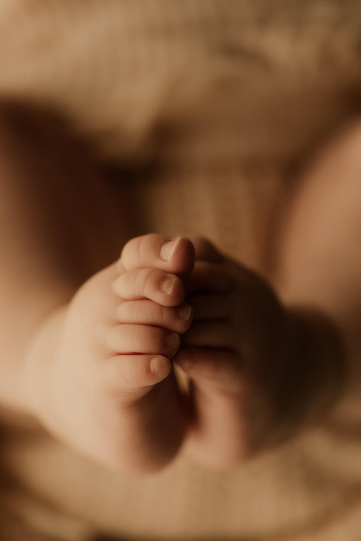 Baby girl's little feet.