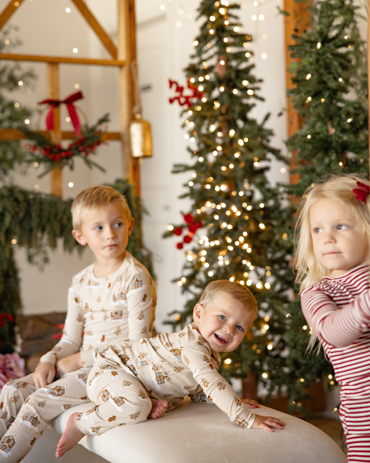 2024 holiday photos080proofs