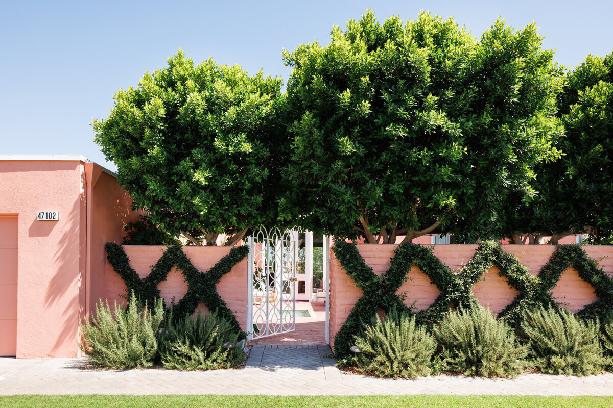 MollyRosePhoto-2023-June-DianaTomei-Marrakesh-033