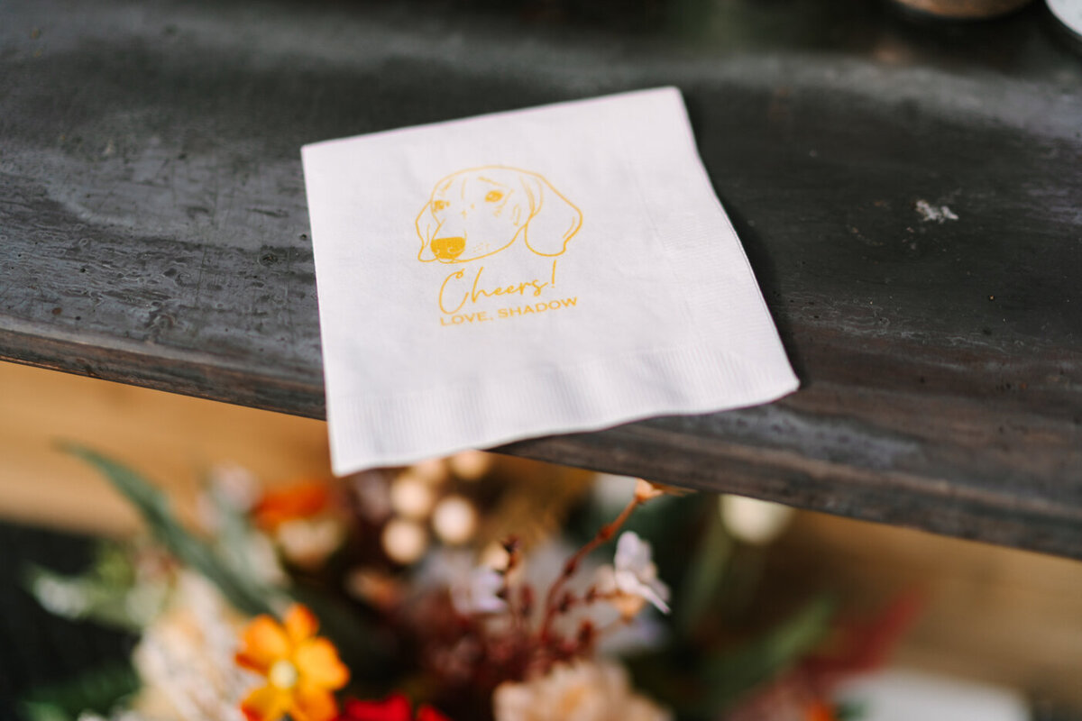 WVWeddingPhotographer19