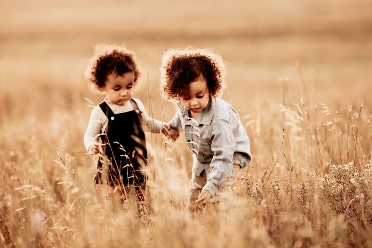 Two brothers exploring and playing in a field.