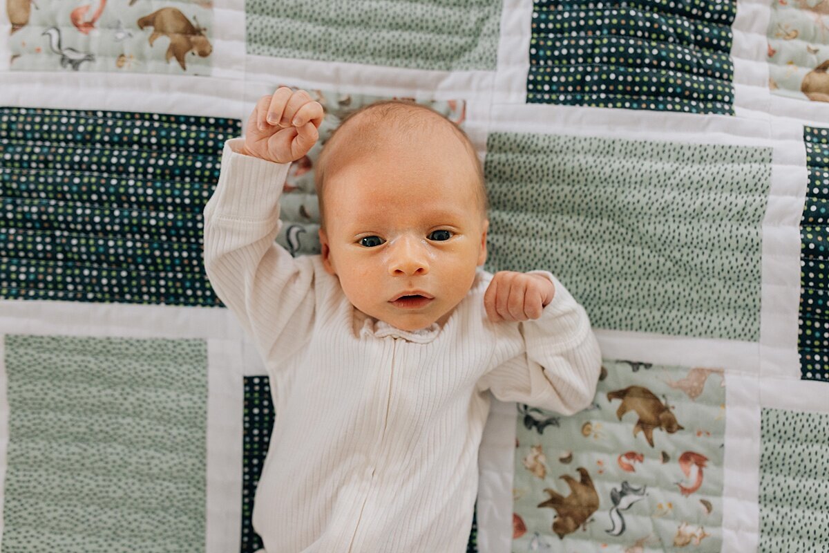 Chatham-Kent-Newborn-Photographer_0081