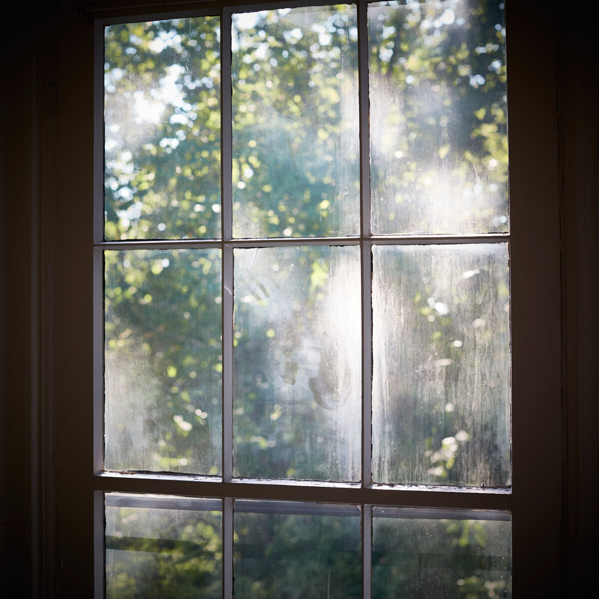 20151006___MG_5898