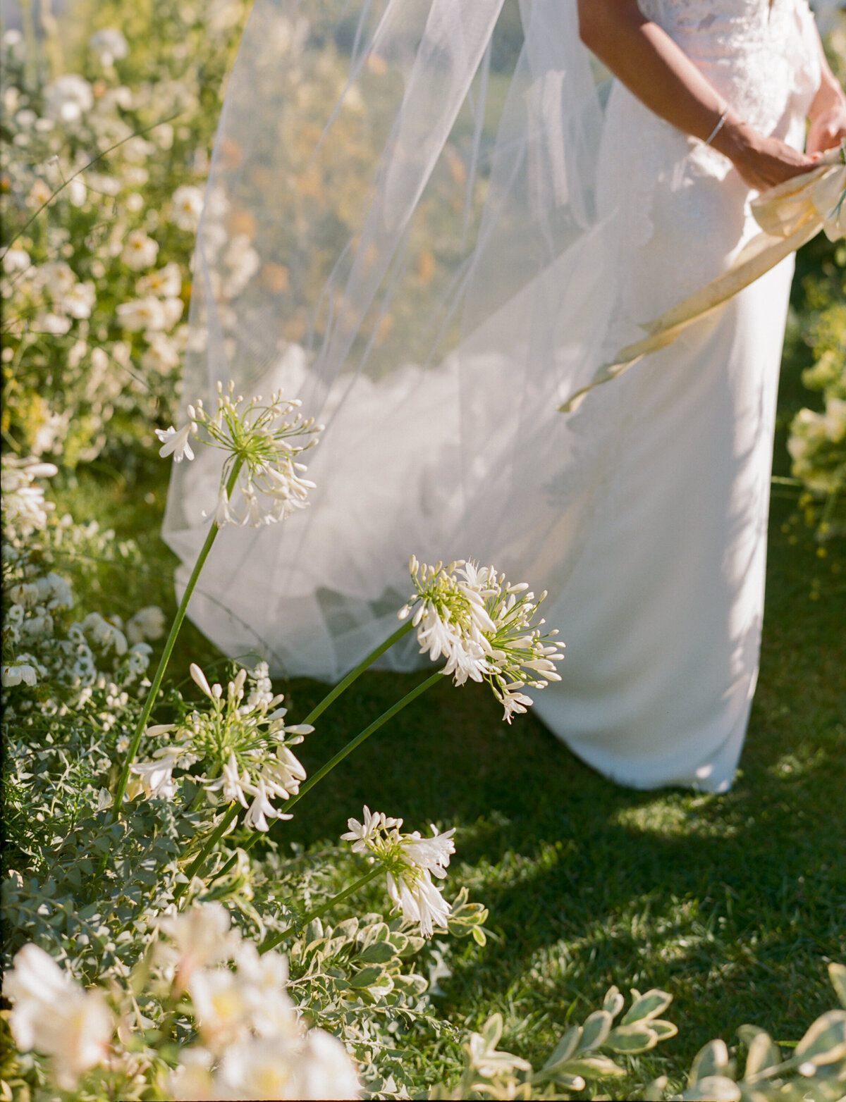 Viansa-Sonoma-Wedding-020