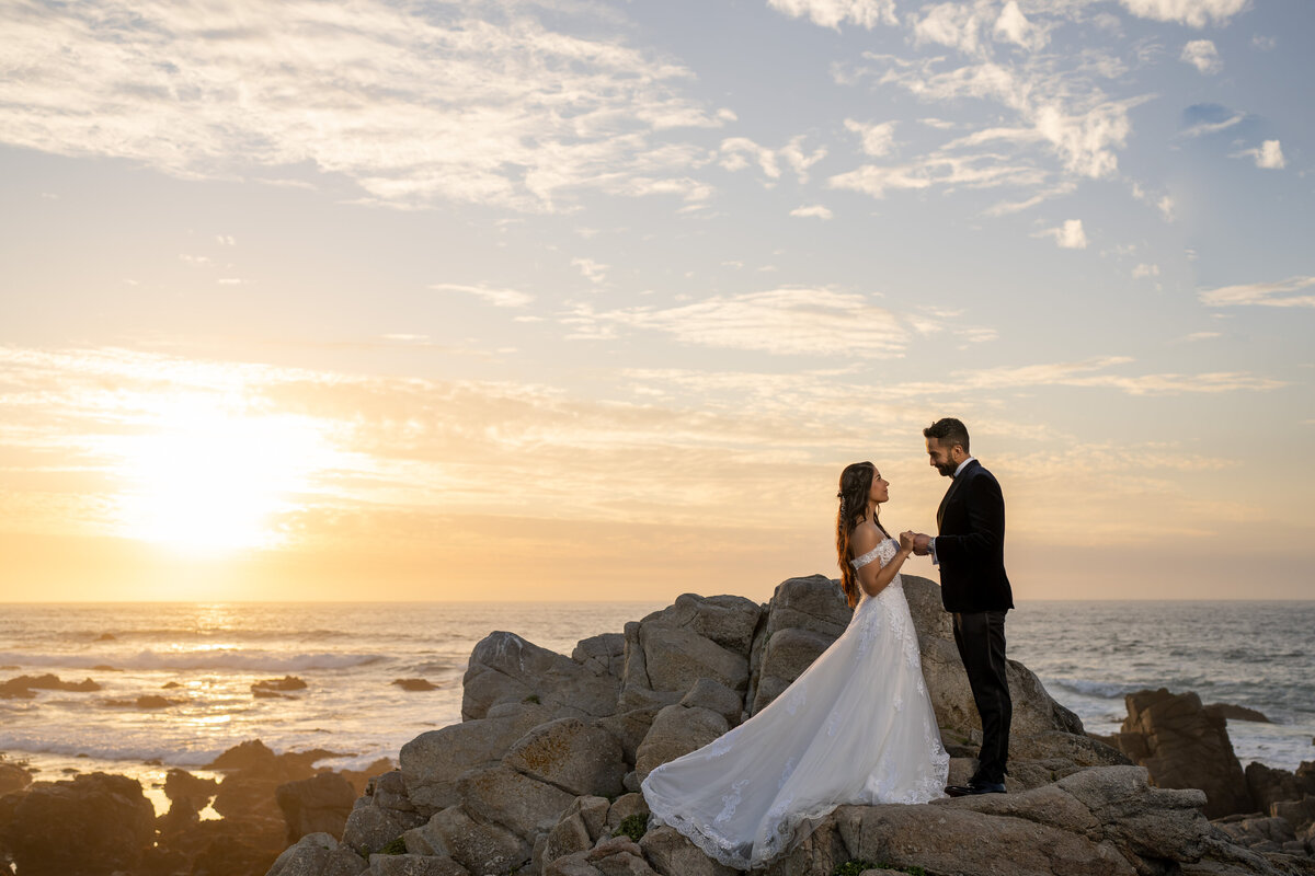 Amreet_Nirpaul_Engagement-87