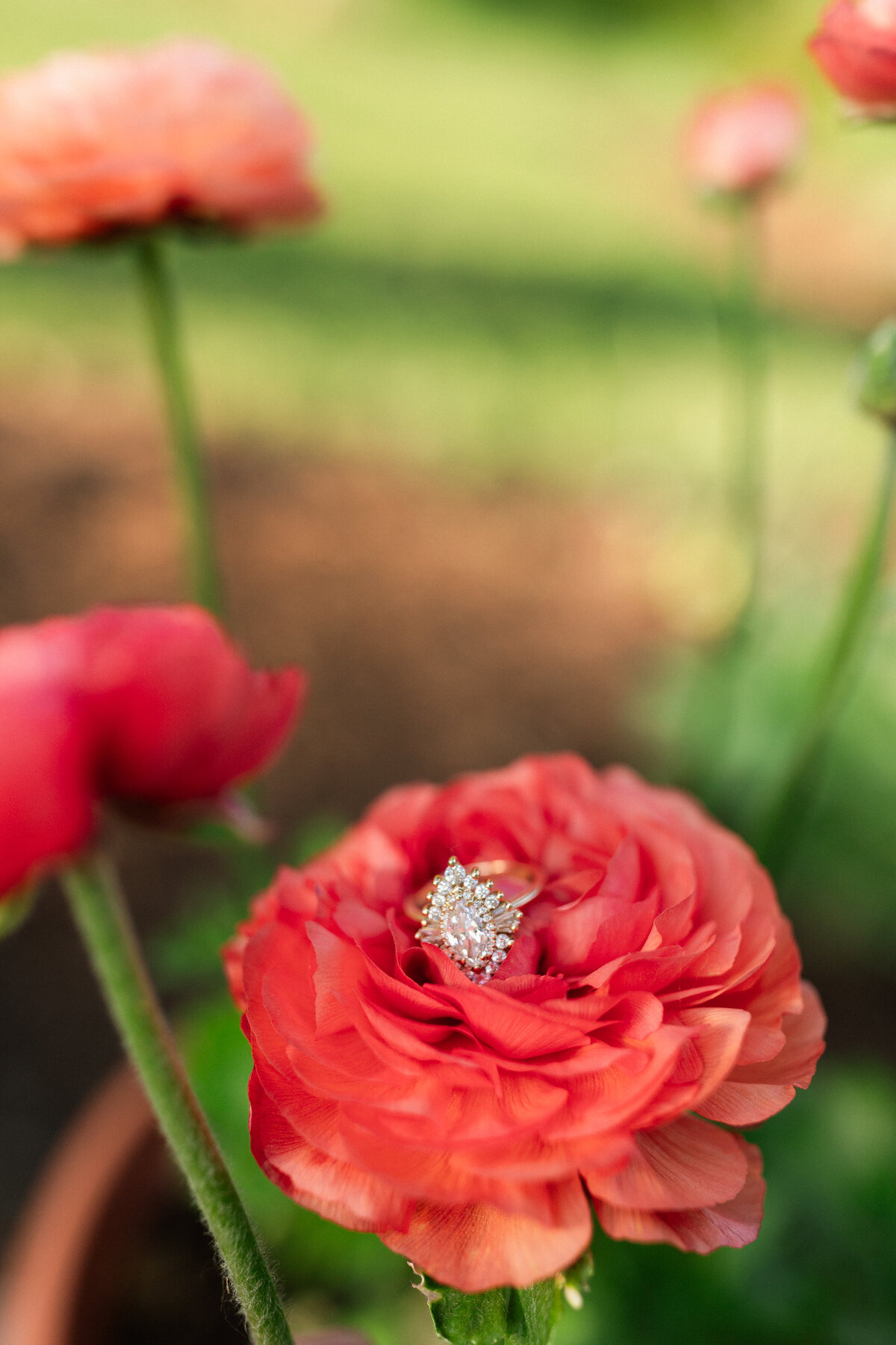 meg-thompson-photography-paige-tyler-12