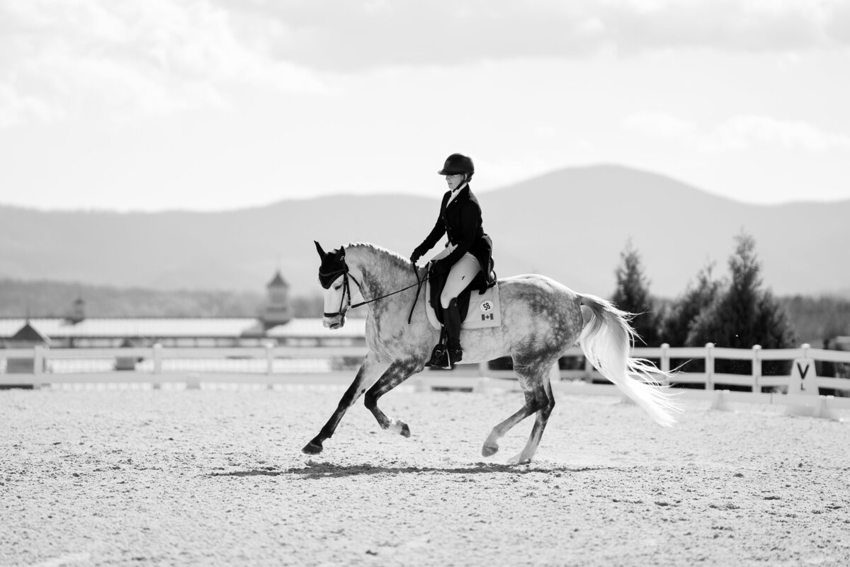 VHCDressage-16