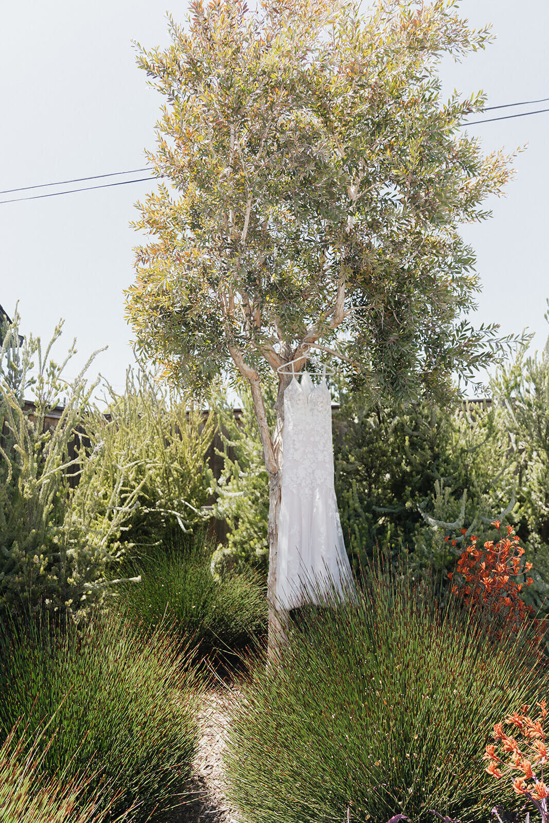 Inn at the Pier Pismo Beach Wedding Photography by San Luis Obispo Wedding Photographer Samantha Anne