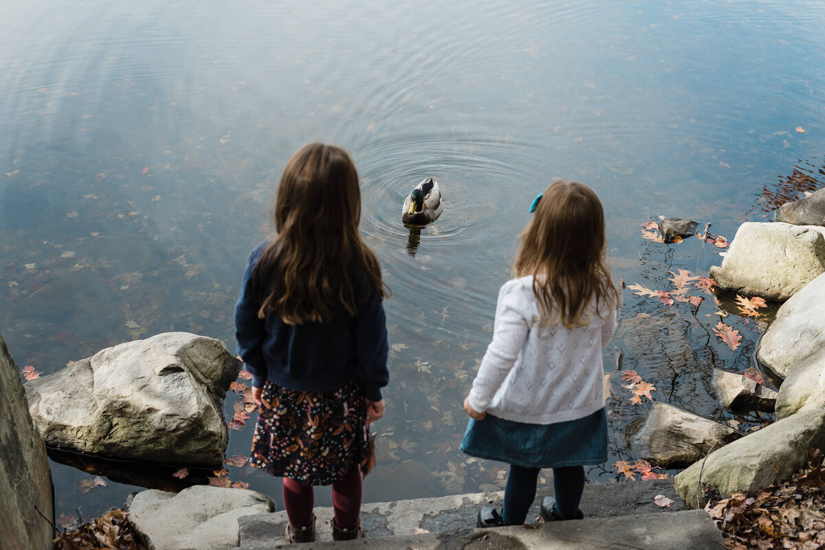 LIttle girls standing on shore watching duck in the water.