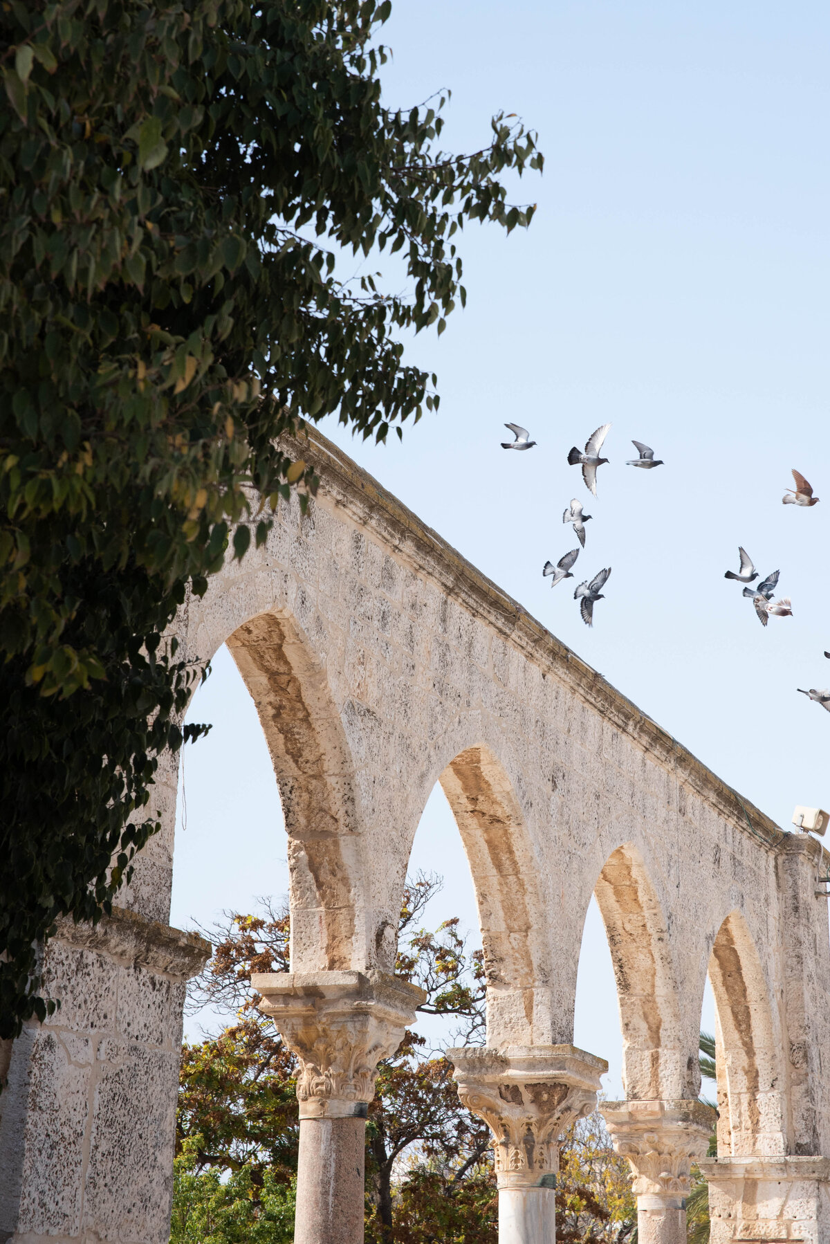 Israel_2019_-315 (1)