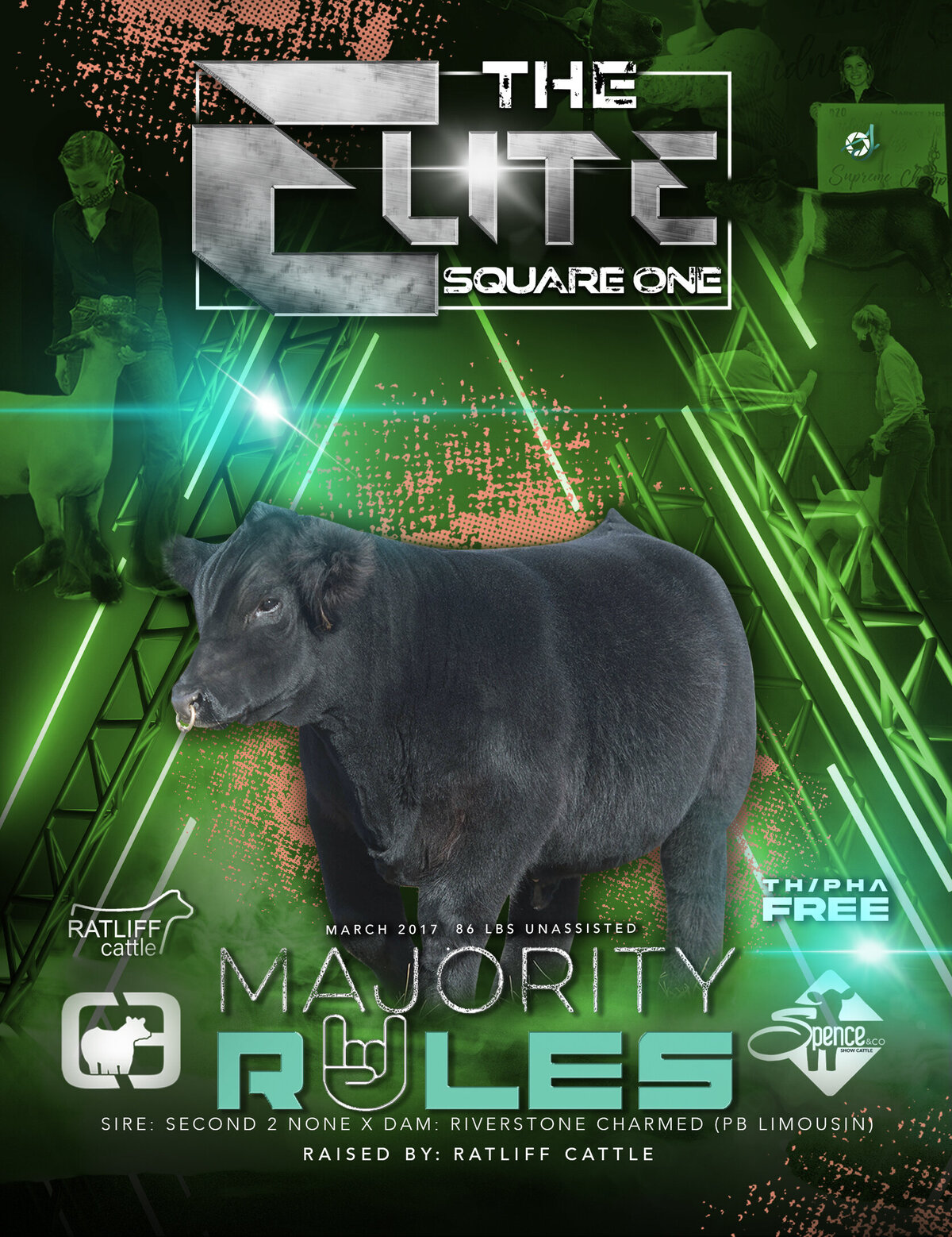 The Elite Cover_Final(Heat) 2
