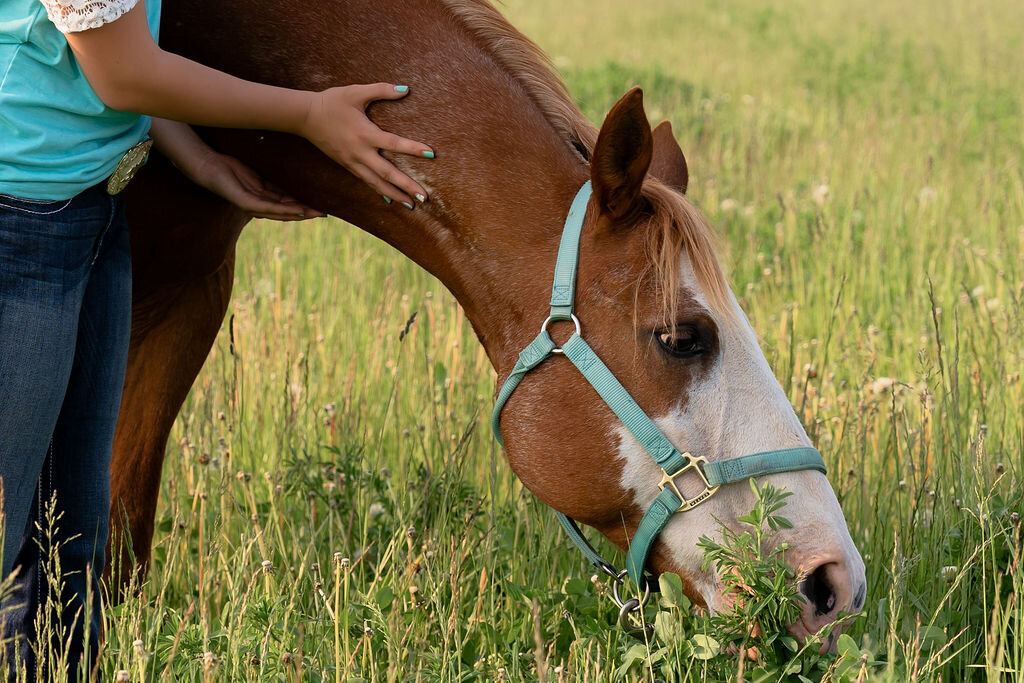 MelMariePhotography-364