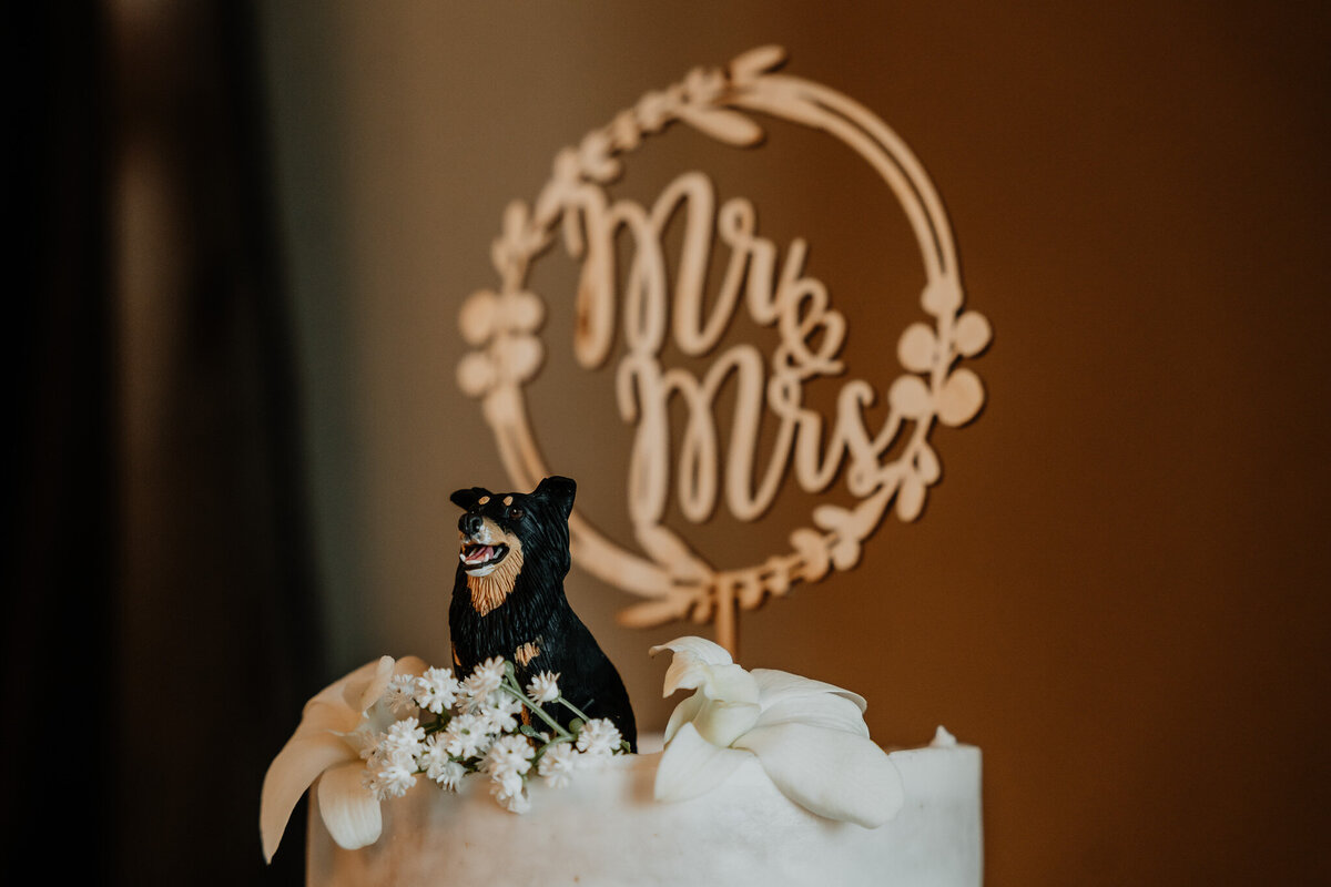 dog-cake-topper