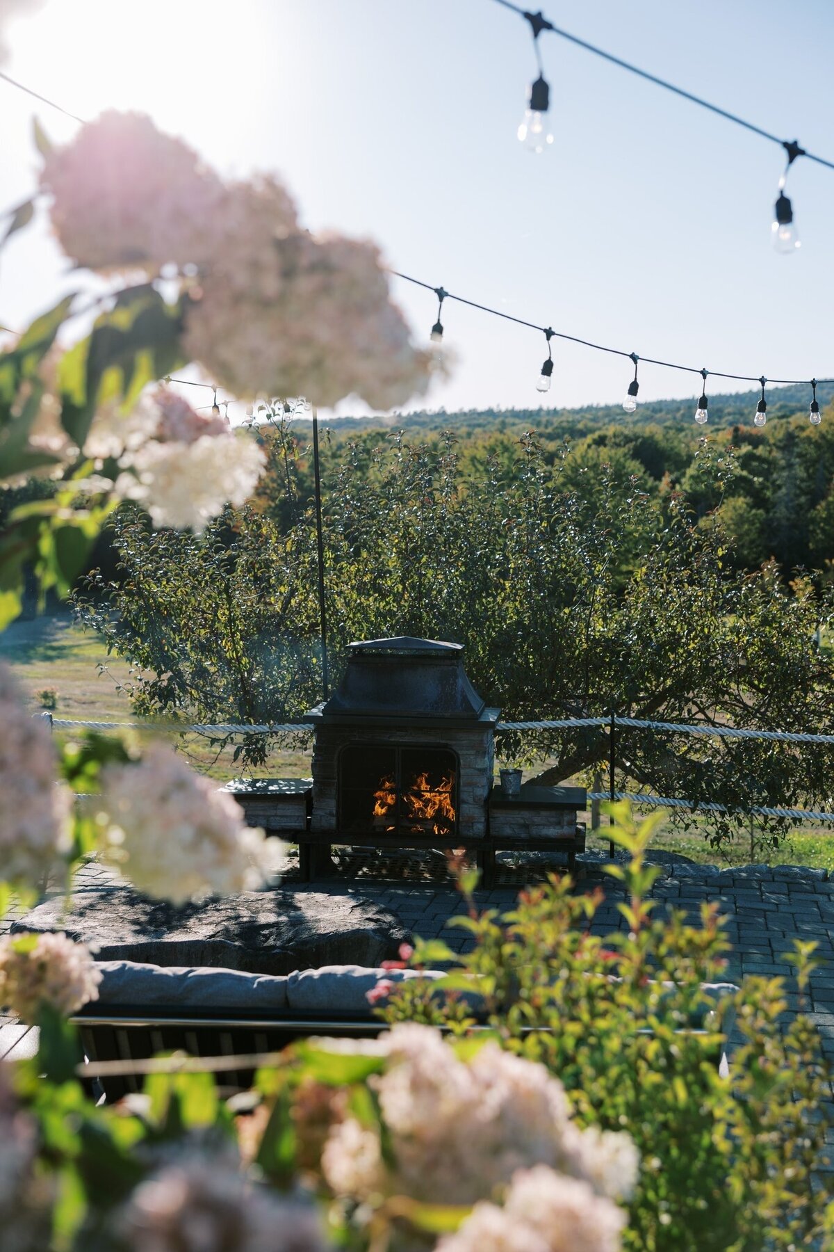 AO Welcome Sneak Peek_0010