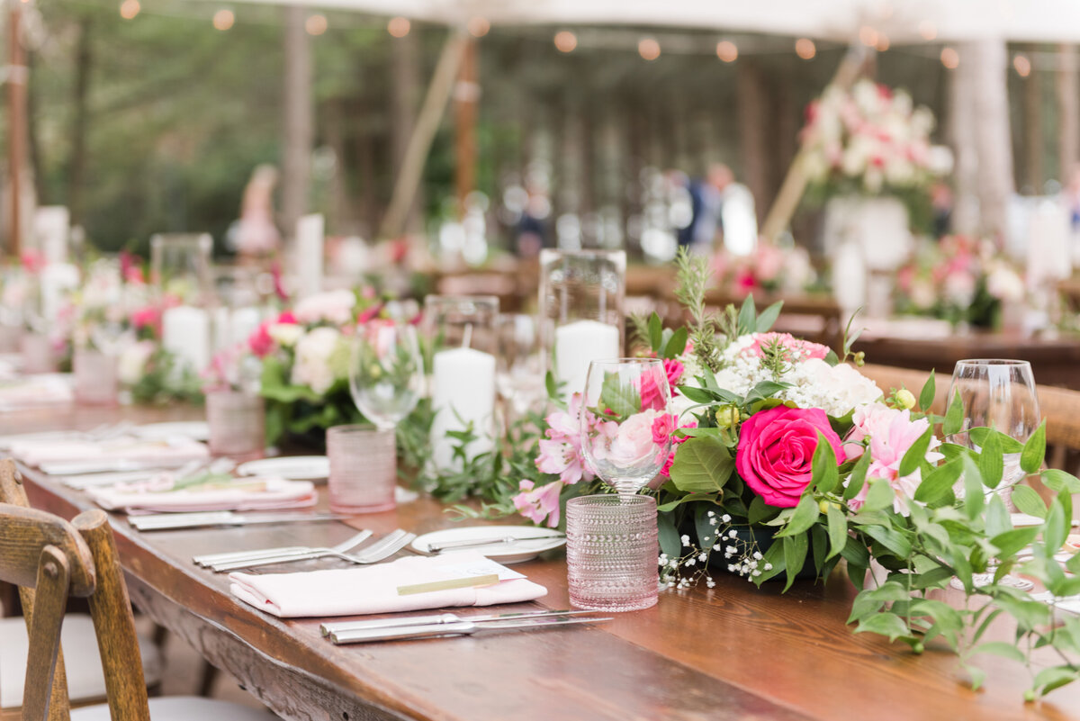 Wedding_-_Anne___Vas-392