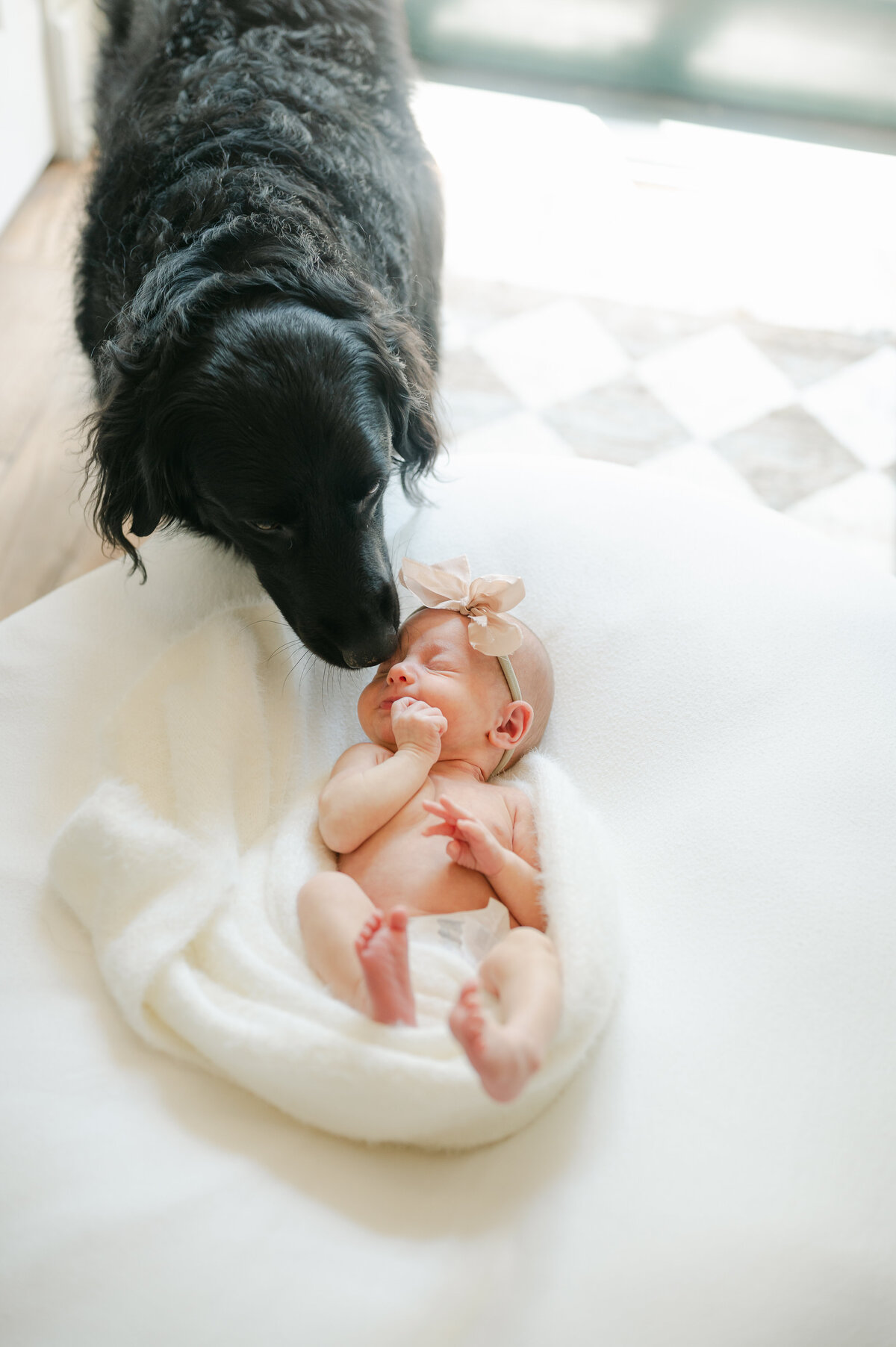 PJPhotography_Norris, Mackenzie-165