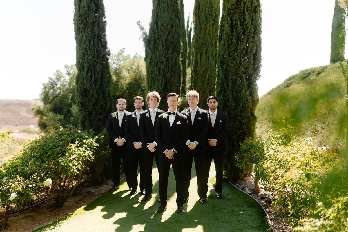 Falkner Winery Wedding Photos 51
