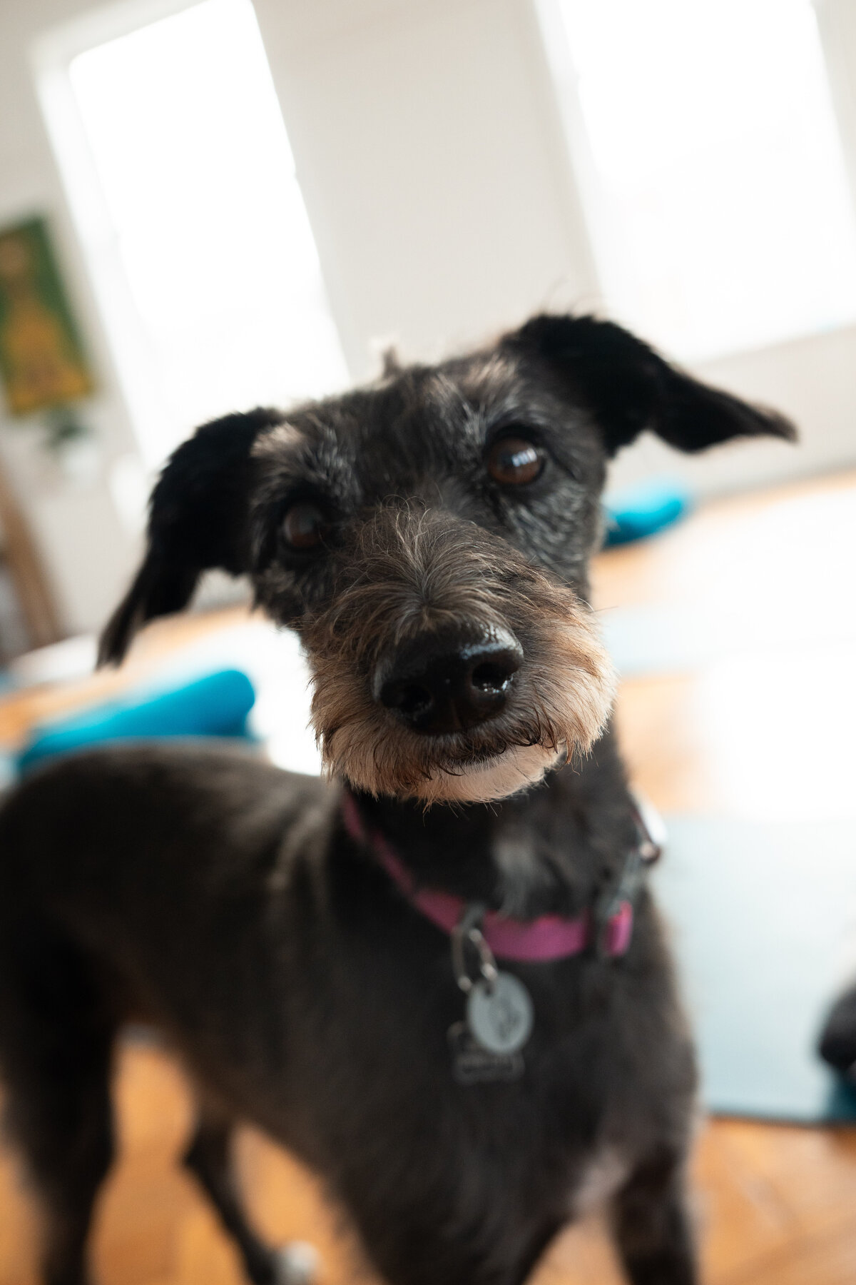 Cocobella Photography -40