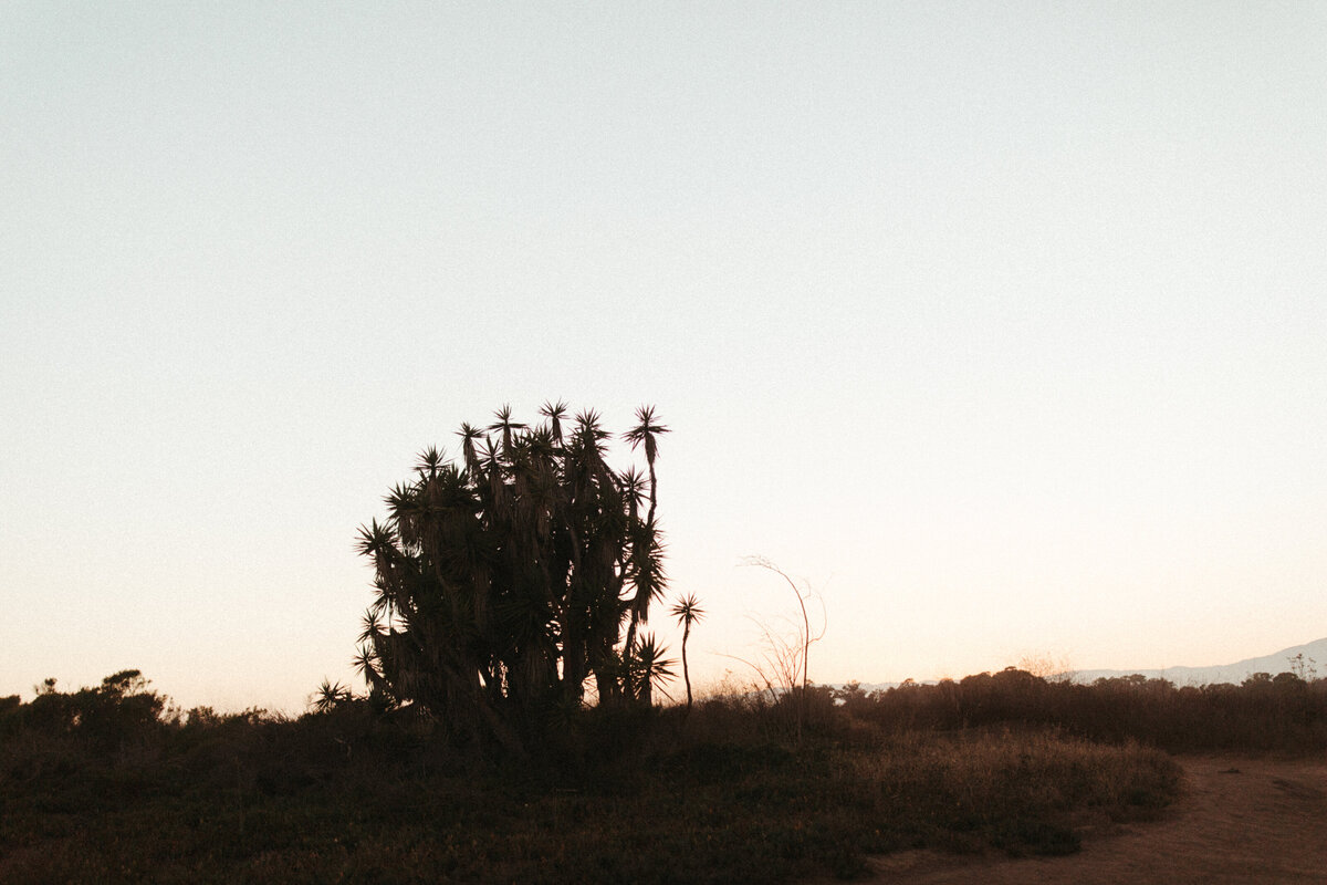3K0A0023