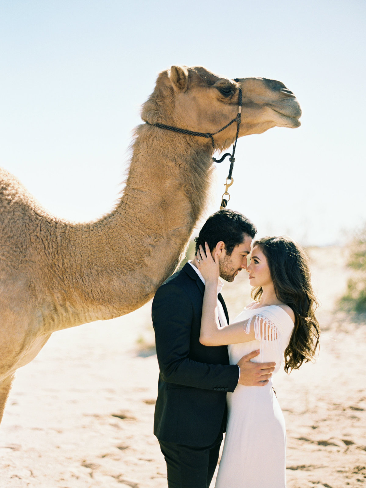 philip-casey-photography-desert-camel-editorial-session-09