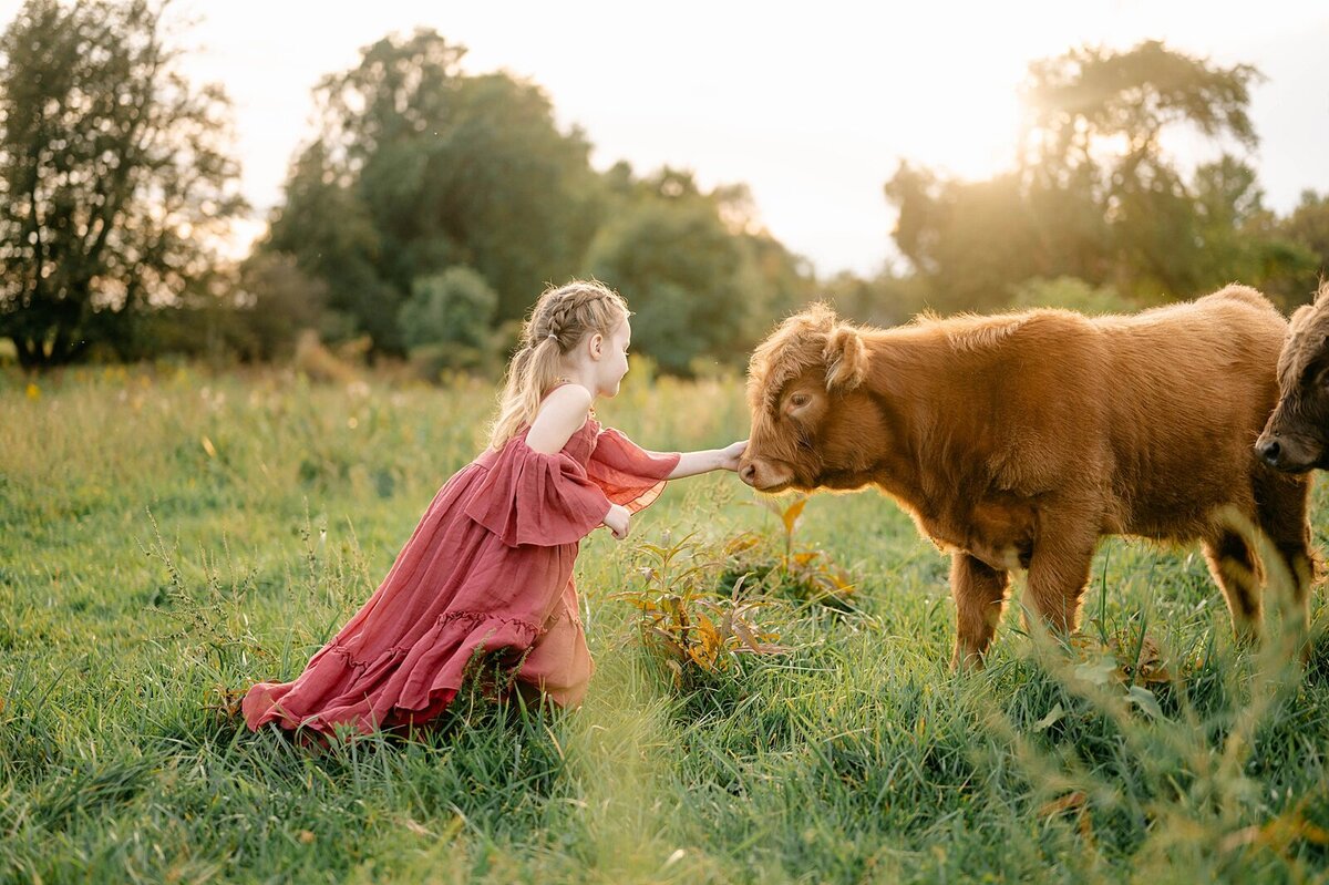 Get your family photos taken with cute fluffy cows in Ohio